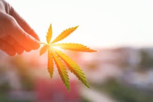 How-Long-Does-It-Take-for-CBD-Oil-to-Work