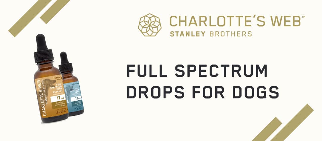 charlottes web for dogs full spectrum drop banner