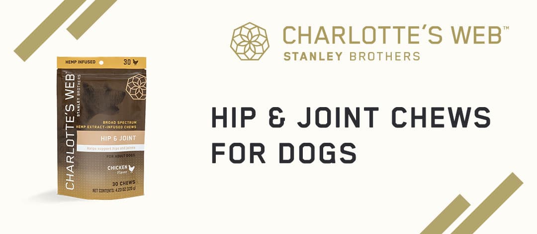 charlottes web for dogs hip and joint chews