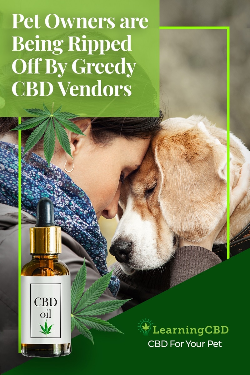 pet owners being ripped off by cbd vendors pinterest post