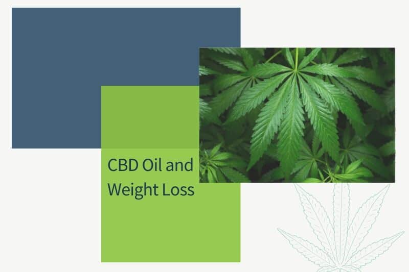 Cbd_Oil_And_Weight_Loss
