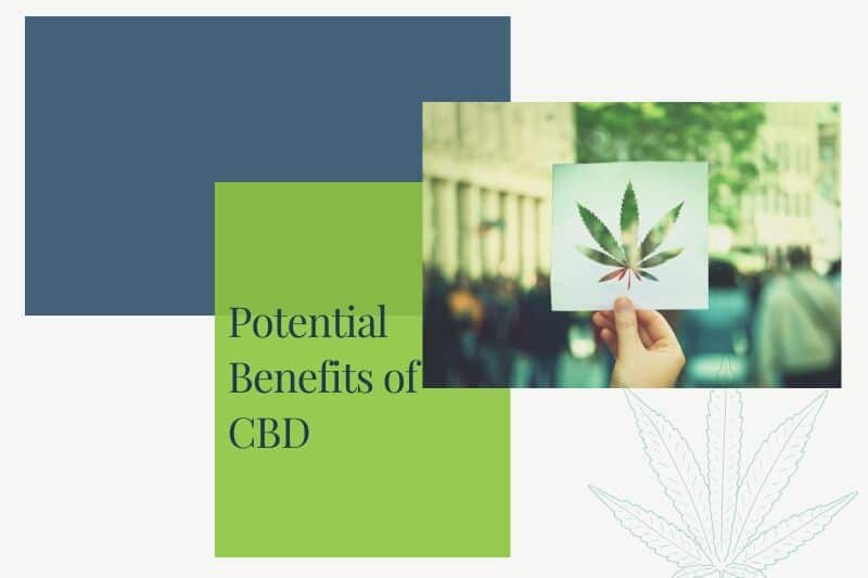 What Does CBD Feel Like? Learning CBD Oil