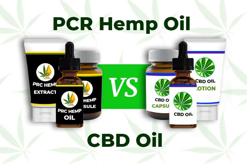 pcr hemp oil vs cbd oil featured img