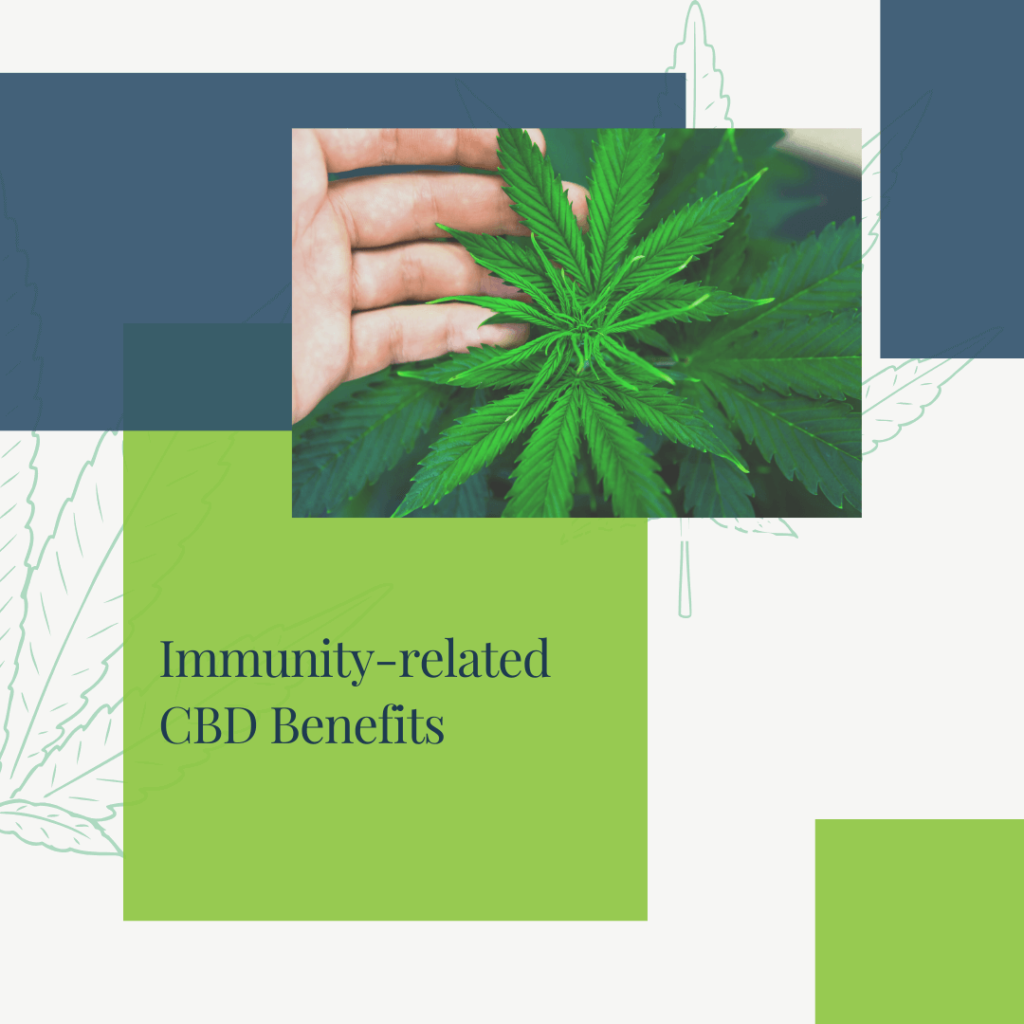 immunity related CBD benefits