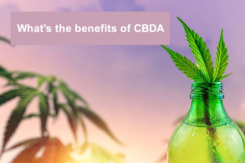benefits of cbda banner