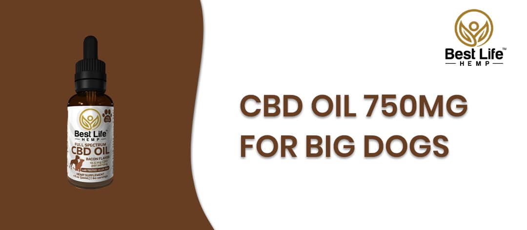 best life hemp cbd for pets for big dogs banner
