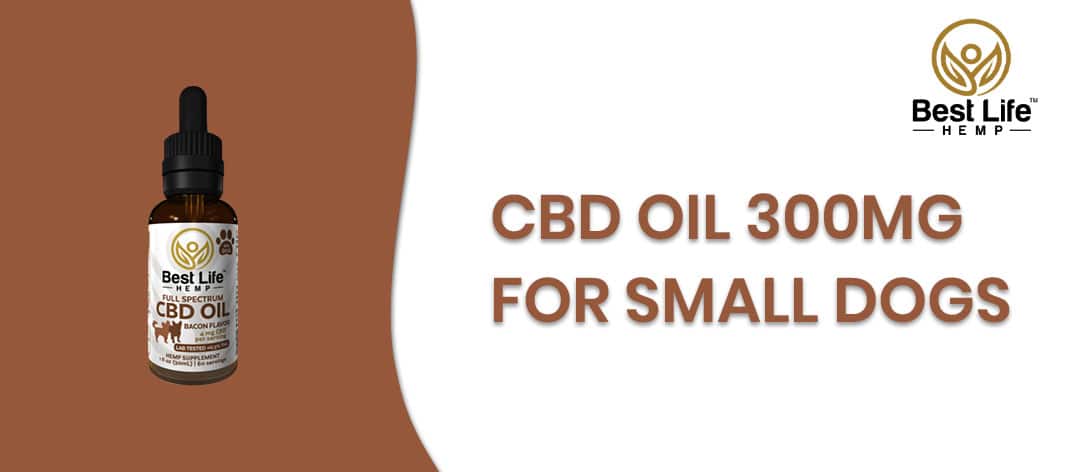 best life hemp cbd for pets for small dogs banner