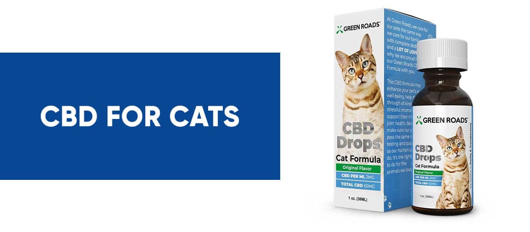 cbd for cat banner