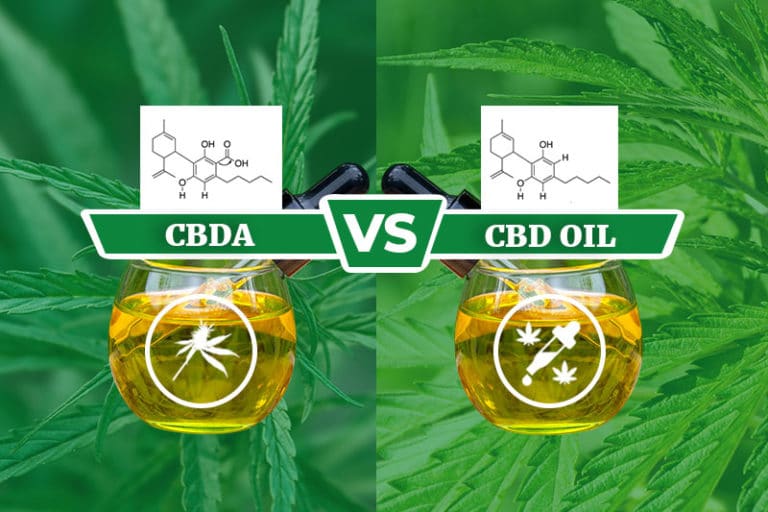 Cbda Vs Cbd The Benefits Of Cbda Learning Cbd Oil