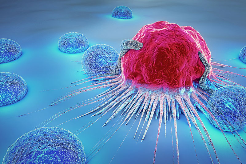 visualization of cancer cells