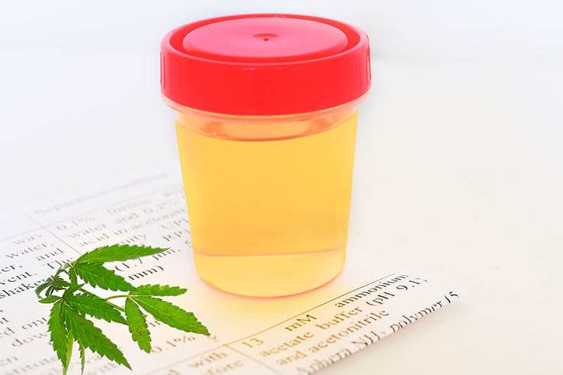 urine container that is use on drug test