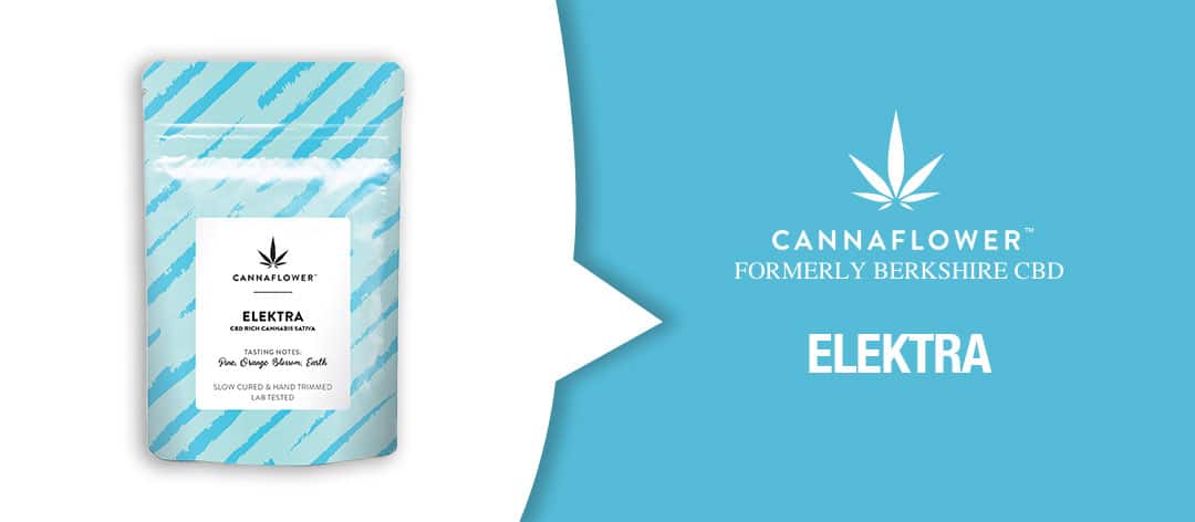 cannaflower elektra flower banner