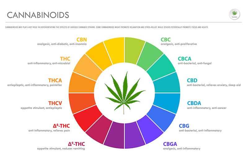 different tye of cannabinoids in cbd