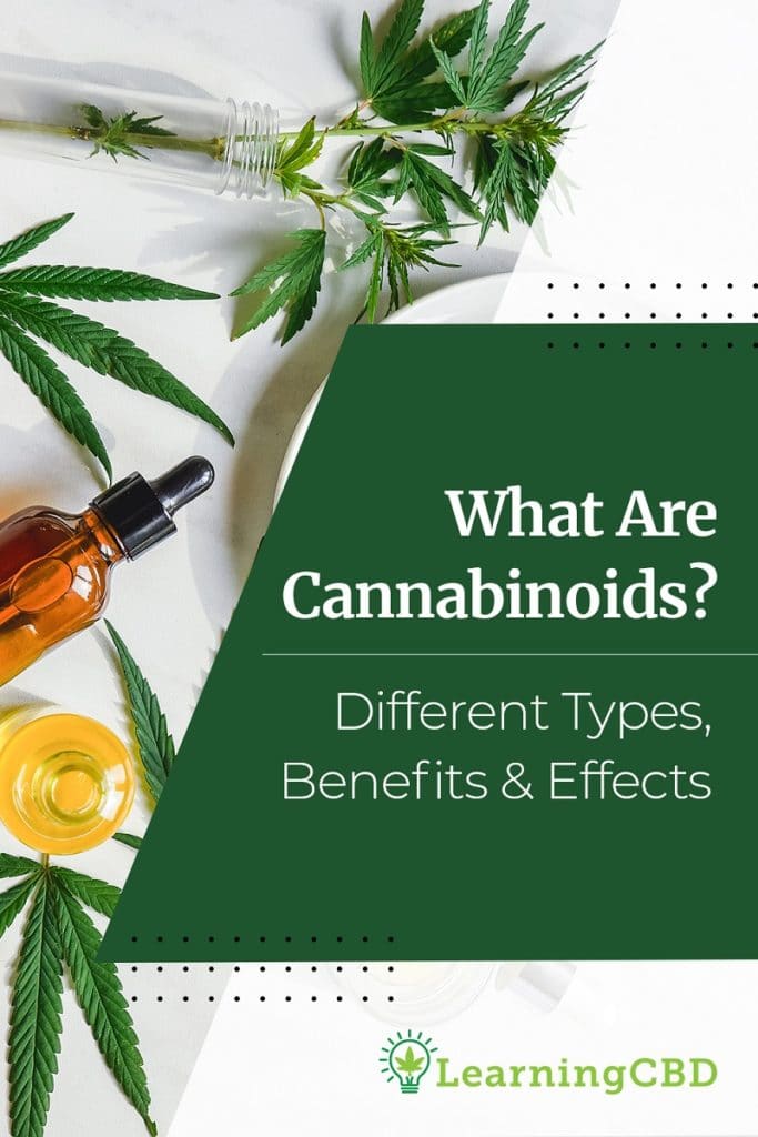 What Are Cannabinoids? Different Types, Benefits & Effects