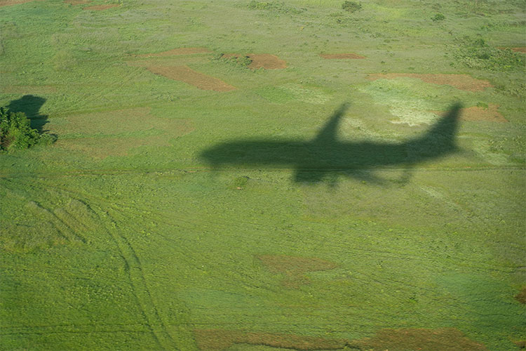 a shadow of a plane near a hemp farm