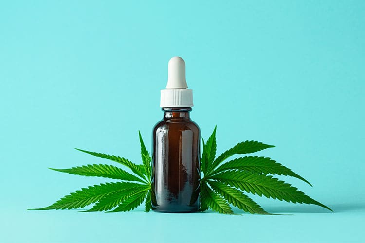 cbd oil in a bottle with hemp leaf on the background
