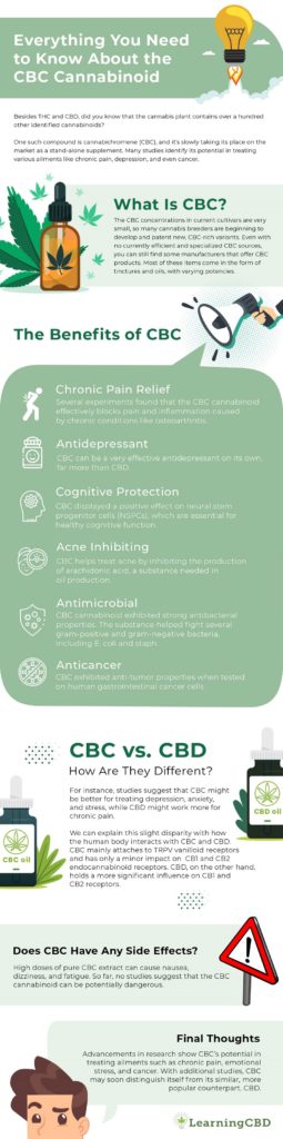 Everything You Need to Know About the CBC Cannabinoid